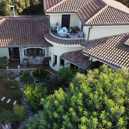 B&B Ottoulivi Sardara Bagian luar foto