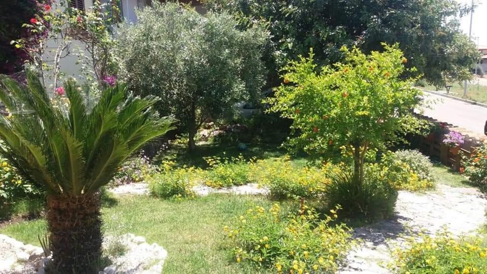 B&B Ottoulivi Sardara Bagian luar foto