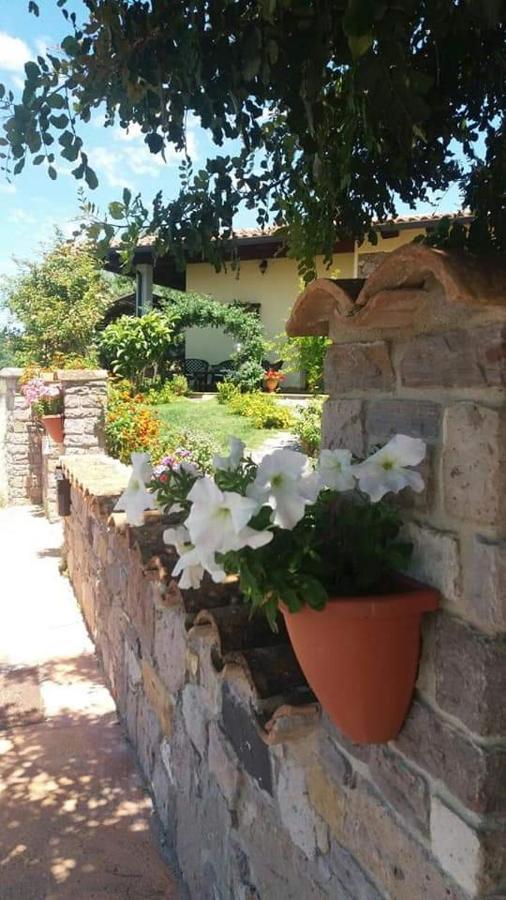 B&B Ottoulivi Sardara Bagian luar foto