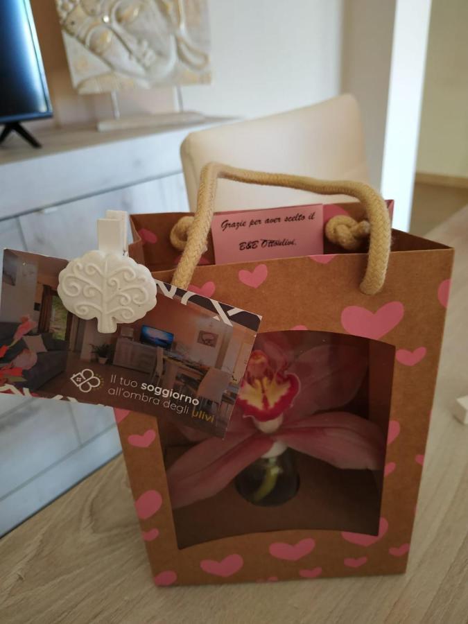 B&B Ottoulivi Sardara Bagian luar foto