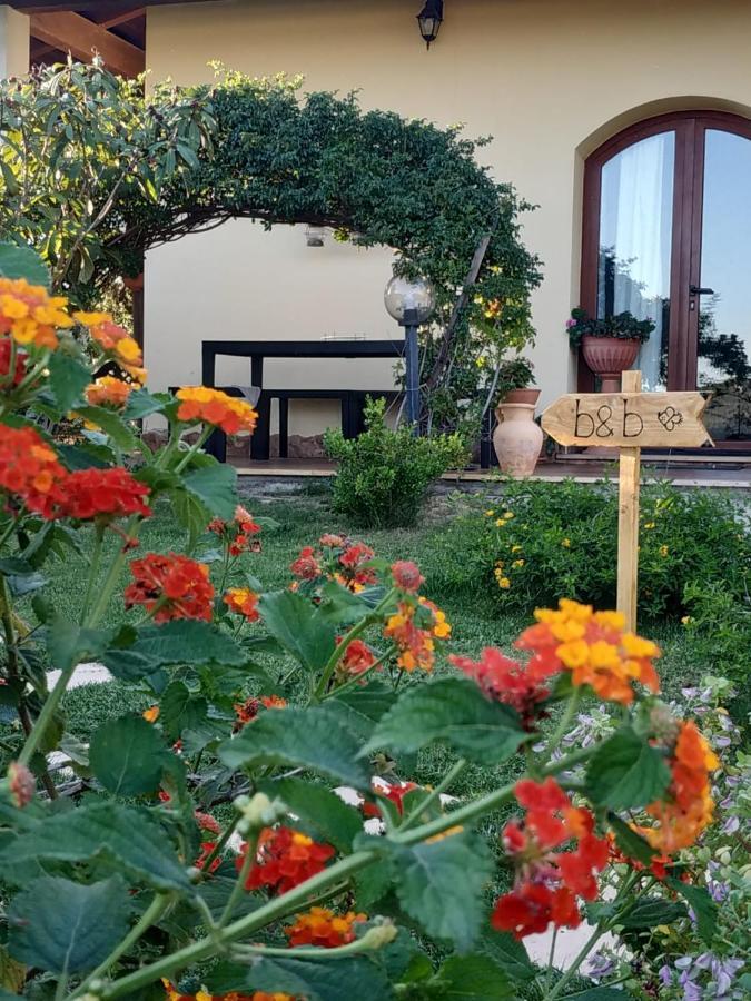 B&B Ottoulivi Sardara Bagian luar foto