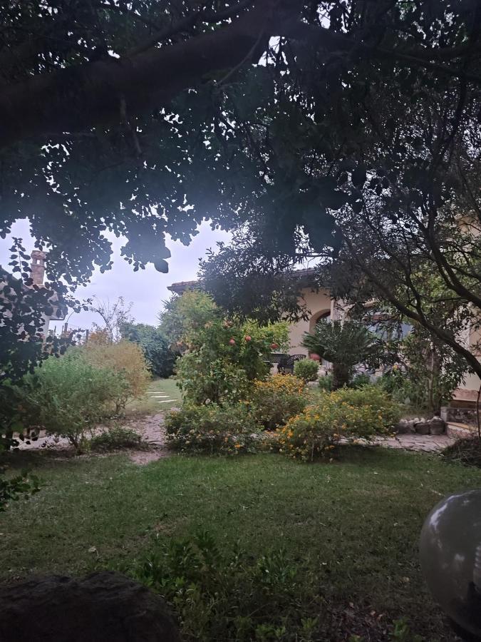 B&B Ottoulivi Sardara Bagian luar foto